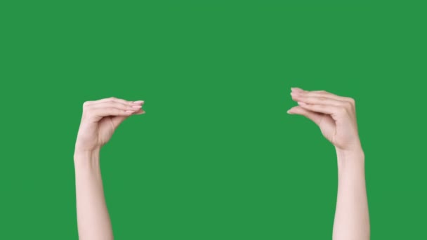 Vıdı vıdı el hareketleri kadın parmakları konuşuyor — Stok video