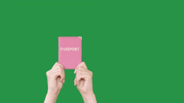 Control de pasaporte global manos de inmigración id set 2 — Vídeos de Stock