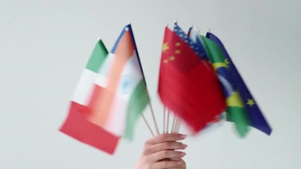 Globální jednota mezinárodní vztahy ruční vlajky — Stock video