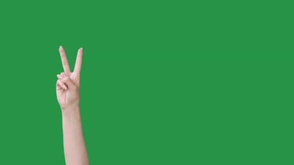 Мирний жест підтримки вентилятора рука V знак два пальці — стокове відео