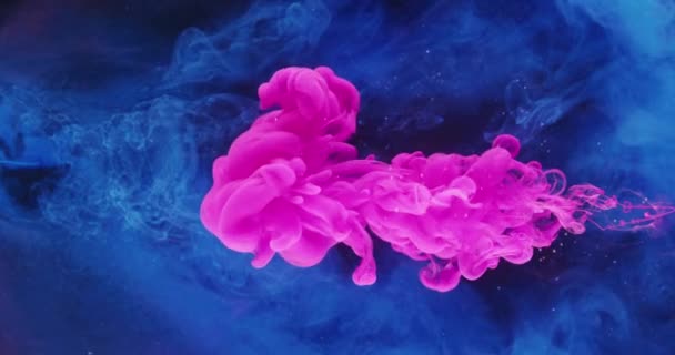 Inkoust voda kapka barva barvivo směs růžová modrá barva — Stock video