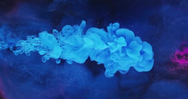 Inkt water druppel kleur vloeistof spatten blauw roze verf — Stockvideo