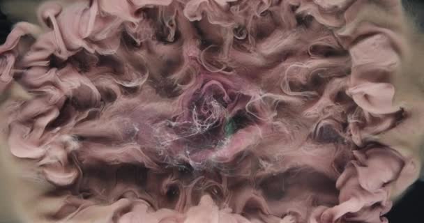 Encre eau éclaboussure vapeur nuage mouvement beige rose teinture — Video