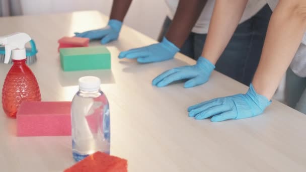 Serviço de limpeza mãos de limpeza profissional — Vídeo de Stock
