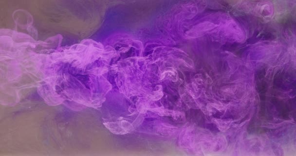 Inkoust voda kapka barva mlha průtok fialový kouř mix — Stock video