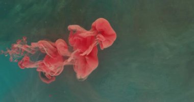 mürekkep damlası renk sıvısı Turuncu boya sıçratır