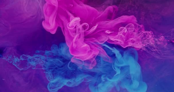 Onderwater kleur explosie inkt druppel paars mist — Stockvideo