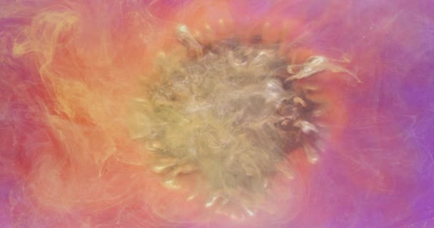 Ink water splash color smoke cloud orange pink — Vídeos de Stock