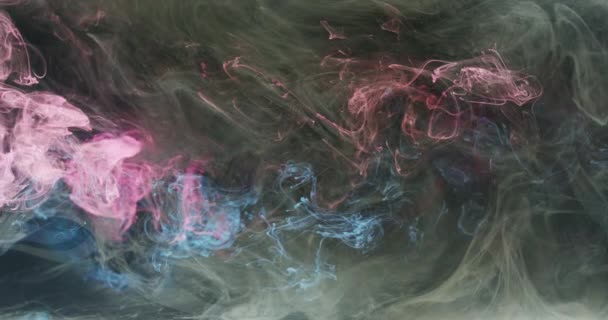 Color mist cloud paint water mix pink blue black — ストック動画