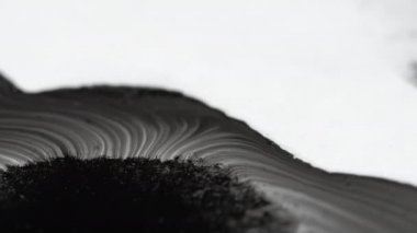 black paint flow ink paper splatter water white