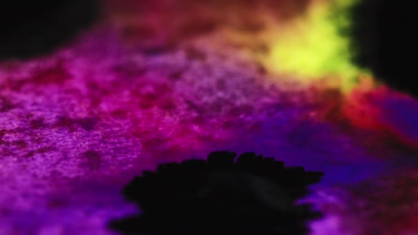 Tinta mancha fondo color salpicadura púrpura negro mezcla — Vídeos de Stock