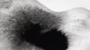 ink spatter texture wet dirty paper black white