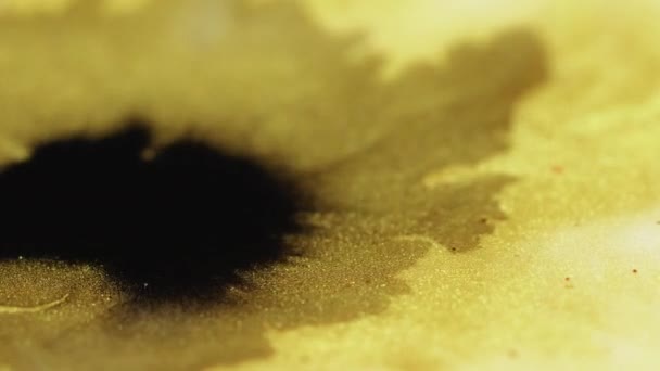 Ink drop sparkling fluid mix black stain golden — стоковое видео