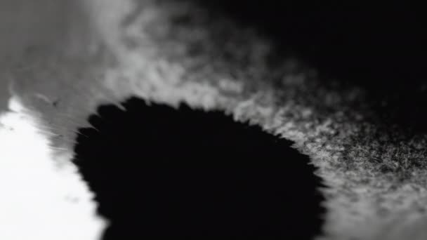 Ink stain background wet paper texture black white — Stock Video