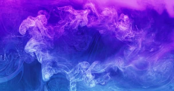 Color humo marco tinta agua remolino neón azul rosa — Vídeo de stock