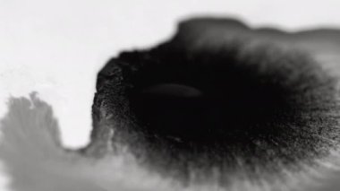 ink paper drop wet blob texture black paint white
