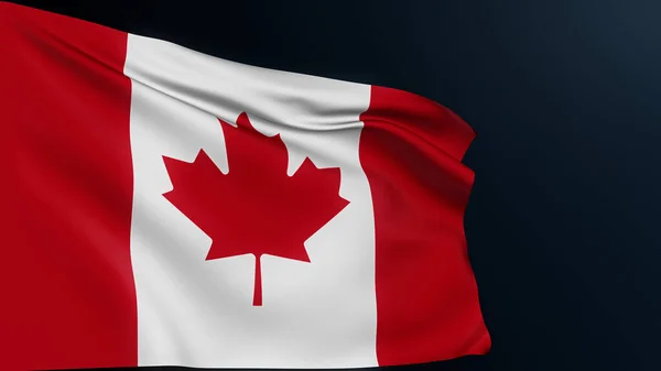 Canada Vlag Esdoornblad Ottawa Bord Officieel Canadees Nationaal Symbool Voor — Stockfoto