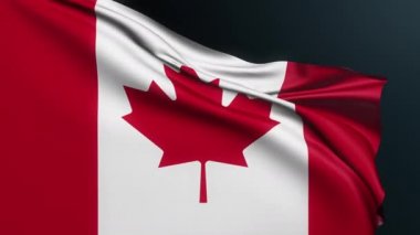 Kanada bayrağı. Akçaağaç Yaprağı. Ottawa işareti. Kanada resmi vatanseverlik sembolü Bağımsızlık Günü, 1 Temmuz. Dalgalı pamuk dokusuyla gerçekçi 3D animasyon.