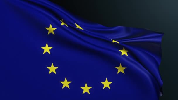 Σημαία Ευρωπαϊκή Ένωση Βρυξέλλες Βέλγιο Επίσημη Δήλωση Του Συμβουλίου Της — Αρχείο Βίντεο