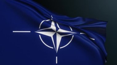 NATO bayrağı. Kuzey Atlantik Antlaşma Örgütü. Askeri ittifak. Pusula, Avrupa devletlerinin ABD Kanada birliğinin simgesi. Dalgalı pamuk dokusuyla gerçekçi 3D animasyon.