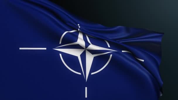Nato旗 北大西洋条約機構 軍事同盟だ コンパスは ヨーロッパ諸国の米国カナダの団結の紋章を上昇させた リップル綿のテクスチャと現実的な3Dアニメーション — ストック動画