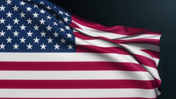 Bandera Usa Estados Unidos América Washington American English Patriotic National — Vídeos de Stock