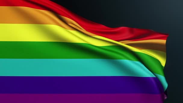 Bandera Gay Pride Tolerancia Lgbt Apoyo Diversidad Igualdad Género Rainbow — Vídeos de Stock