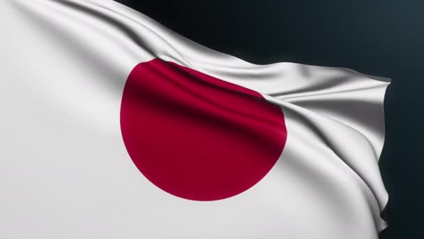 日本国旗 东京的标志亚洲国家 2月11日 日本国庆节的官方爱国象征 具有波纹棉质的真实感3D动画 — 图库视频影像