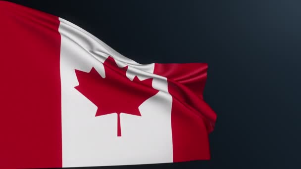 Drapeau Canadien Feuille Érable Panneau Ottawa Identité Nationale Officielle Canada — Video