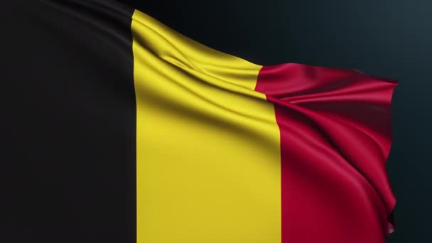 比利时国旗 布鲁塞尔的标志 欧洲国家 比利时三色旗官方爱国象征庆祝国庆节 7月21日 具有波纹棉质的真实感3D动画 — 图库视频影像