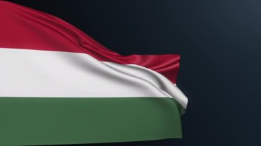 Macaristan bayrağı. Budapeşte tabelası. 15 Mart 'ta Ulusal Bayram' ın Macar üç renkli resmi kimlik sembolü. Sallanan pamuk dokusuyla gerçekçi 3D animasyon.