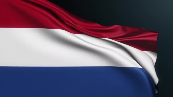 Bandera Holanda Firma Amsterdam País Europeo Holandés Tricolor Nacional Símbolo — Vídeo de stock