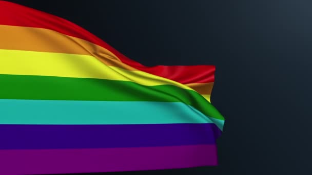 Lgbt旗 同志自由 多样性容忍 彩虹7七彩条纹象征六月的骄傲月庆典 具有波浪棉质的真实感3D动画 — 图库视频影像