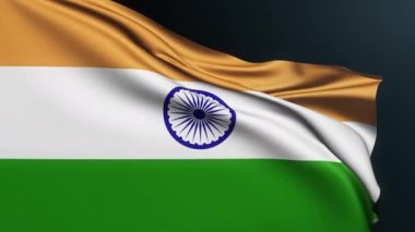 Hindistan bayrağı. Yeni Delhi işareti. Asya ülkesi. Bağımsızlık Günü 'nün resmi ulusal sembolü, 15 Ağustos. Dalgalı pamuk dokusuyla gerçekçi 3D animasyon.