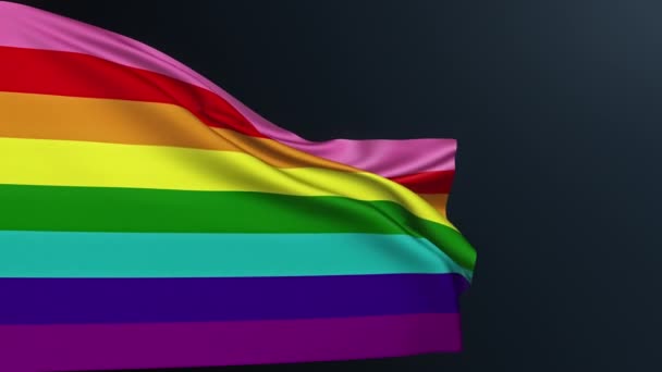 Bandeira Orgulho Gay Unidade Lgbt Igualdade Género Arco Íris Original — Vídeo de Stock