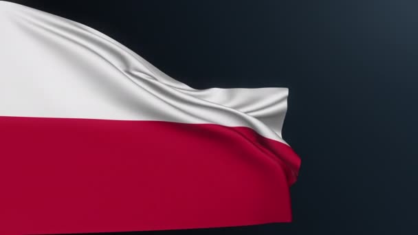 Bandera Polonia Signo Varsovia País Europeo Símbolo Identidad Nacional Oficial — Vídeo de stock