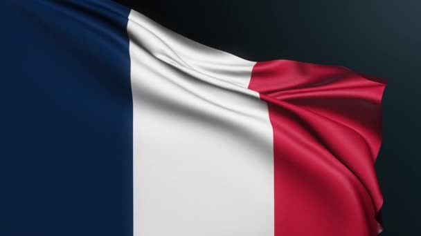 Bandera Francia Firma París País Europeo Tricolor Francés Símbolo Nacional — Vídeos de Stock