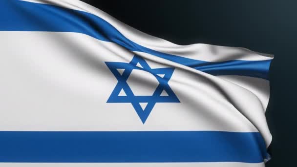 以色列国旗 大卫之星耶路撒冷犹太文化 5月14日 以色列庆祝独立日的官方国家象征 具有波纹棉质的真实感3D动画 — 图库视频影像