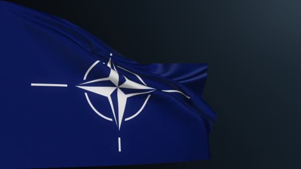 Bandeira Nato Aliança Atlântico Norte Organização Intergovernamental Bússola Subiu Sinal — Vídeo de Stock