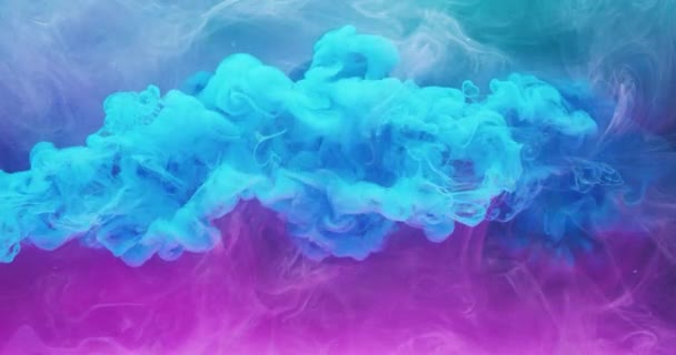 Tintenwasser Explosion Harmonisches Gleichgewicht Blaurosa Acrylfarbe Verschüttet Abstrakte Kunst Hintergrund — Stockvideo