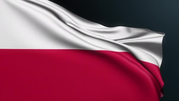 Bandera Polonia Signo Varsovia País Europeo Símbolo Nacional Patriótico Oficial — Vídeo de stock