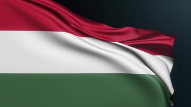 Macaristan bayrağı. Budapeşte tabelası. Avrupa ülkesi. 23 Ekim 'deki Cumhuriyet Günü kutlamalarının Macar ulusal üç renkli sembolü. Dalgalı pamuk dokusuyla gerçekçi 3D animasyon.