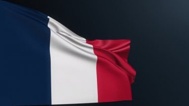 Fransa bayrağı. Paris işareti. Avrupa ülkesi. 14 Temmuz, Bastille Günü kutlamalarının üç renkli ulusal kimlik sembolü. Sallanan pamuk dokusuyla gerçekçi 3D animasyon.