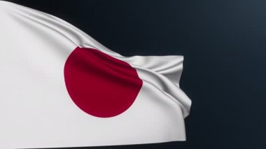 Japon bayrağı. Tokyo tabelası. Asya ülkesi. Japon resmi kimlik sembolü Ulusal Vakıf Günü, 11 Şubat. Sallanan pamuk dokusuyla gerçekçi 3D animasyon.