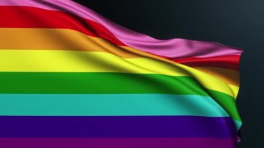 Gökkuşağı bayrağı. LGBT gururu. Gay Günü. Çeşitlilik toleransı. June Parade kutlamasının 8 şeritli renkli sembolü. Dalgalı pamuk dokusuyla gerçekçi 3D animasyon.