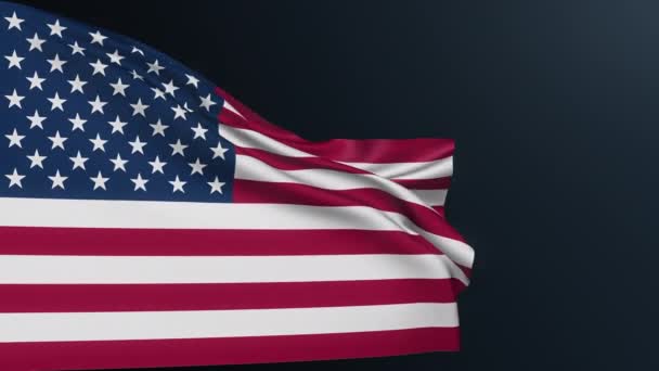 Bandera Usa Estados Unidos América Firma Washington Inglés Americano Símbolo — Vídeo de stock