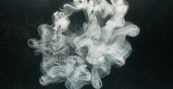 Ink Water Explosion Fluid Splash Logo Reveal Layer White Grey — Stock Photo, Image