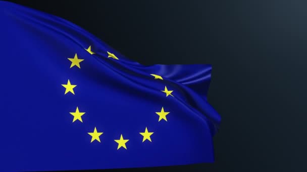 Bandiera Unione Europea Bruxelles Belgio Simbolo Identità Ufficiale Del Consiglio — Video Stock