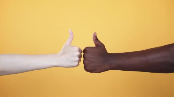 Międzyrasowa Jedność Umowa Międzynarodowa Tolerancja Rasowa Wieloetniczna Przyjaźń Kobieta Mężczyzna — Wideo stockowe