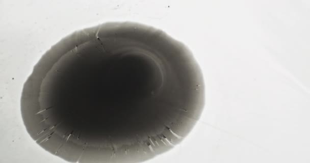 Чорна Вода Розливається Чорнилом Брудні Плями Відео Перехід Відкриття Логотипу — стокове відео